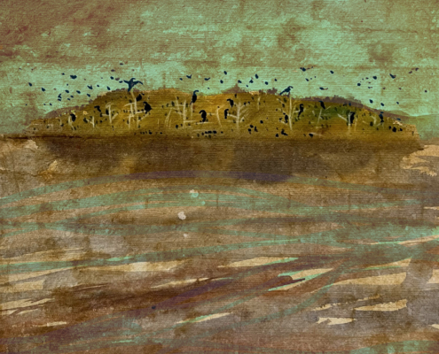 Cormorant Island (study)