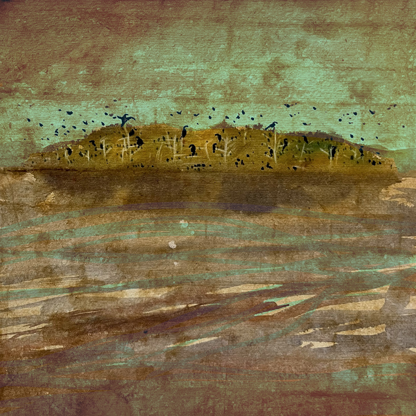 Cormorant Island (study)
