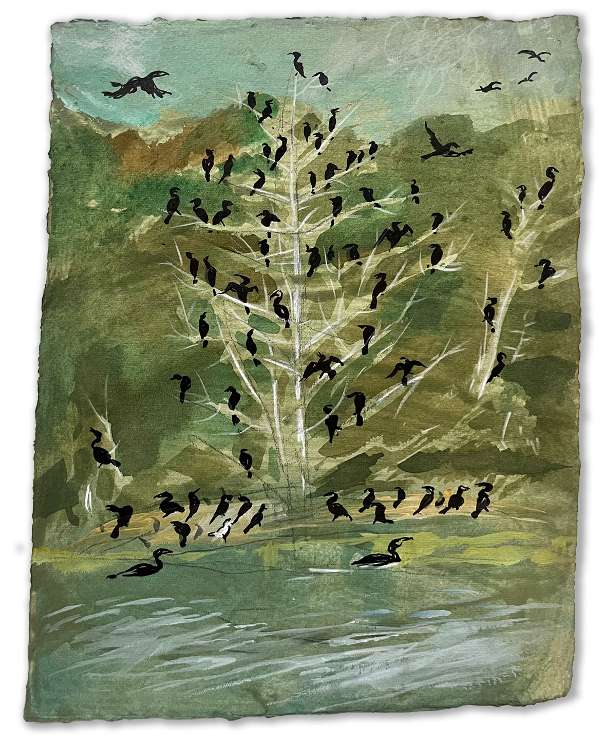 Cormorant Island